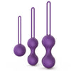 SMART BALL KIT-PURPLE