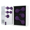 SMART BALL KIT-PURPLE